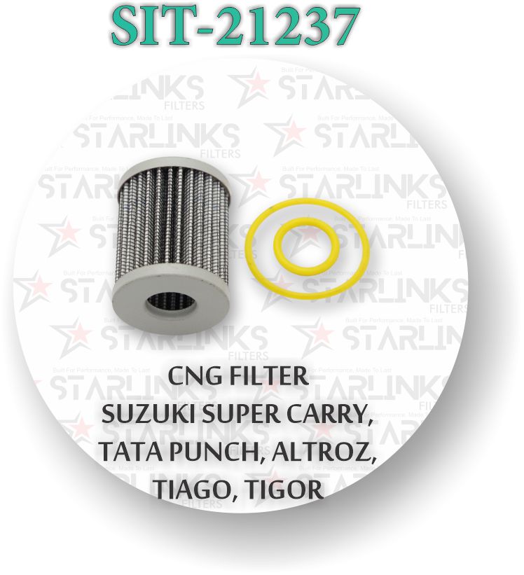 CNG FILTER FOR SUPER CARRY PUNCH ALTROZ TIAGO TIGOR