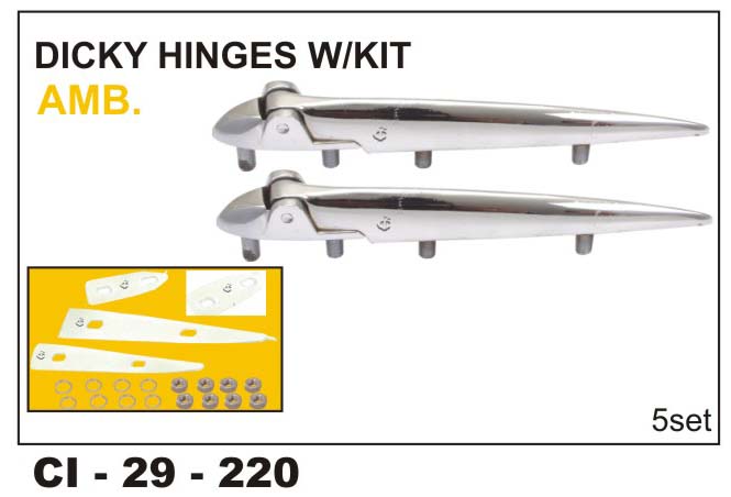 DIKY HINGES AMB W/KIT L