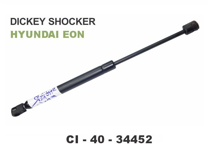 DICKEY SHOCKER EON L/R