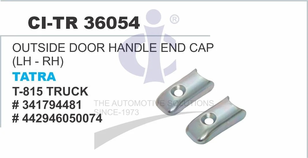 OUTSIDE DOOR HANDLE END CAP (LH-RH) TATRA T815